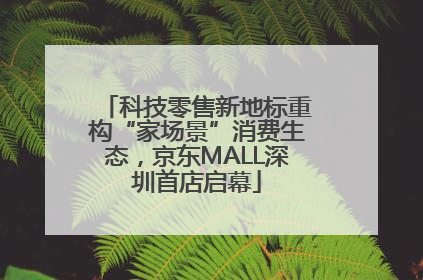科技零售新地标重构“家场景”消费生态，京东MALL深圳首店启幕
