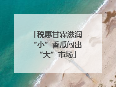 税惠甘霖滋润“小”香瓜闯出“大”市场