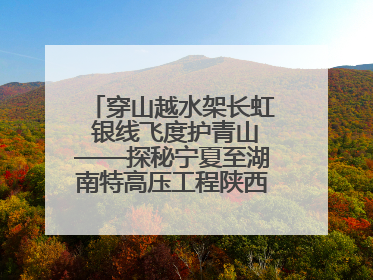 穿山越水架长虹 银线飞度护青山——探秘宁夏至湖南特高压工程陕西段建设现场