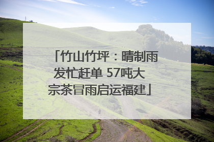竹山竹坪：晴制雨发忙赶单 57吨大宗茶冒雨启运福建