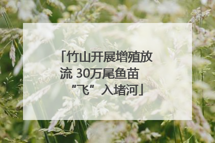 竹山开展增殖放流 30万尾鱼苗“飞”入堵河