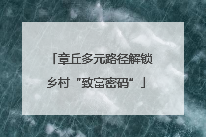 章丘多元路径解锁乡村“致富密码”