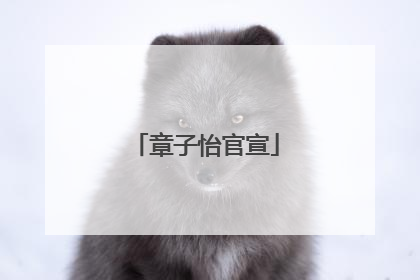 章子怡官宣