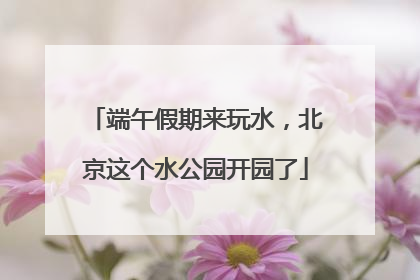 端午假期来玩水，北京这个水公园开园了