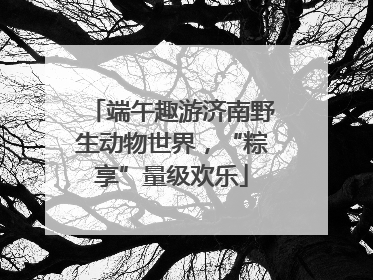 端午趣游济南野生动物世界，“粽享”量级欢乐