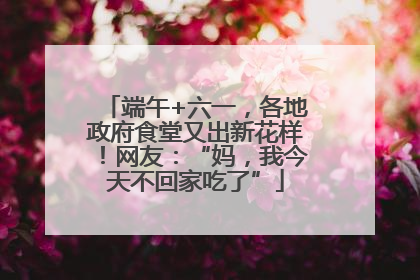 端午+六一，各地政府食堂又出新花样！网友：“妈，我今天不回家吃了”