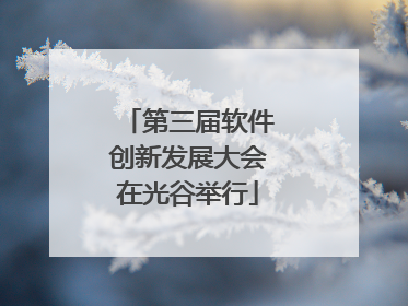 第三届软件创新发展大会在光谷举行