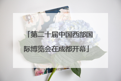 第二十届中国西部国际博览会在成都开幕