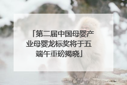 第二届中国母婴产业母婴龙标奖将于五端午重磅揭晓