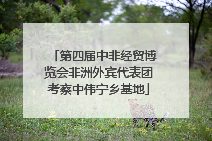第四届中非经贸博览会非洲外宾代表团考察中伟宁乡基地