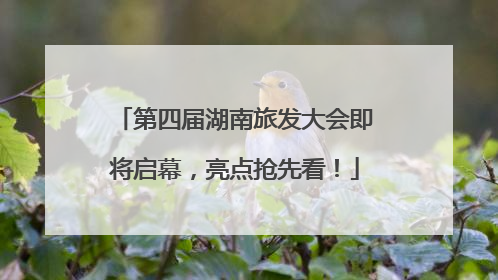 第四届湖南旅发大会即将启幕，亮点抢先看！