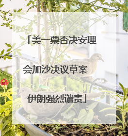 美一票否决安理会加沙决议草案 伊朗强烈谴责