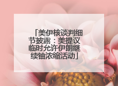 美伊核谈判细节披露：美提议临时允许伊朗继续铀浓缩活动