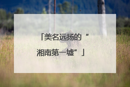 美名远扬的“湘南第一墟”