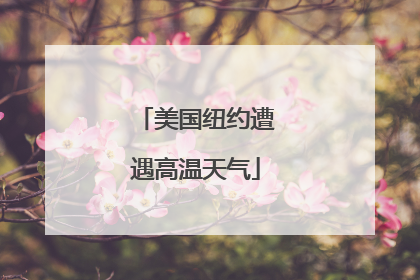 美国纽约遭遇高温天气
