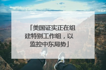 美国证实正在组建特别工作组，以监控中东局势