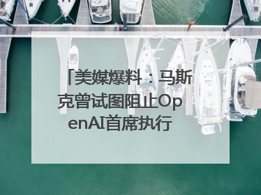 美媒爆料：马斯克曾试图阻止OpenAI首席执行官奥尔特曼在中东的AI交易