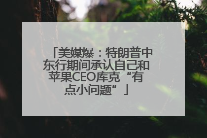 美媒爆：特朗普中东行期间承认自己和苹果CEO库克“有点小问题”