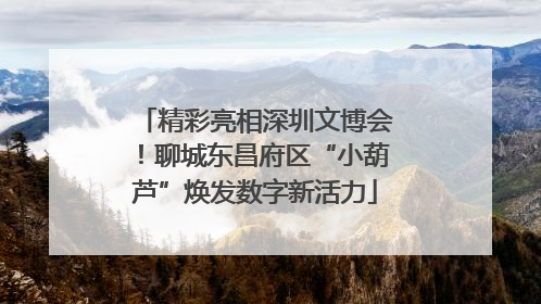 精彩亮相深圳文博会！聊城东昌府区“小葫芦”焕发数字新活力