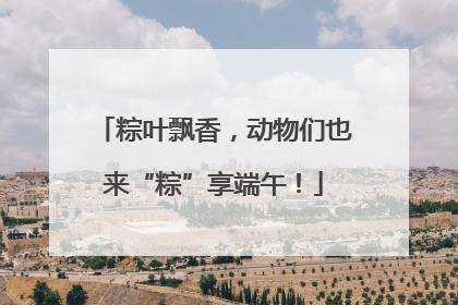 粽叶飘香，动物们也来“粽”享端午！