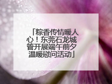 粽香传情暖人心！东莞石龙城管开展端午前夕温暖慰问活动