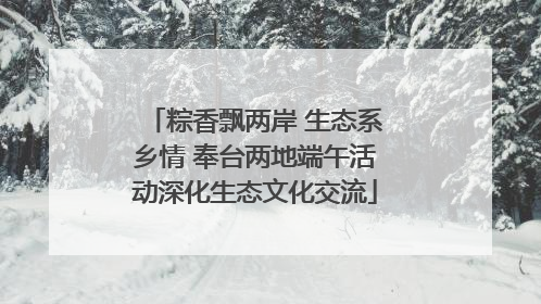 粽香飘两岸 生态系乡情 奉台两地端午活动深化生态文化交流