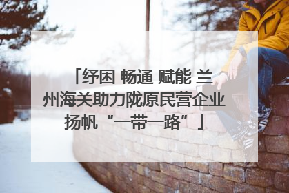 纾困 畅通 赋能 兰州海关助力陇原民营企业扬帆“一带一路”