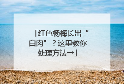 红色杨梅长出“白肉”？这里教你处理方法→