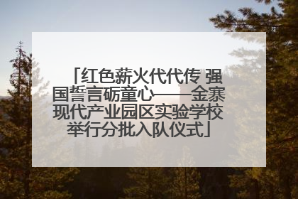 红色薪火代代传 强国誓言砺童心——金寨现代产业园区实验学校举行分批入队仪式