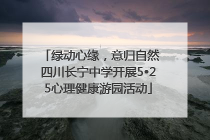 绿动心缘，意归自然 四川长宁中学开展5•25心理健康游园活动