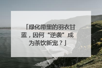 绿化带里的羽衣甘蓝，因何“逆袭”成为茶饮新宠？