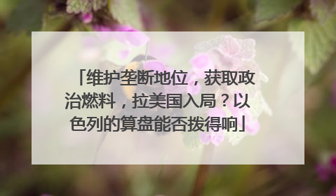 维护垄断地位，获取政治燃料，拉美国入局？以色列的算盘能否拨得响