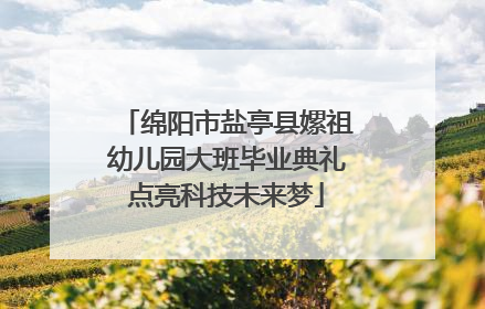 绵阳市盐亭县嫘祖幼儿园大班毕业典礼点亮科技未来梦