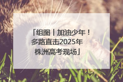 组图丨加油少年！多路直击2025年株洲高考现场