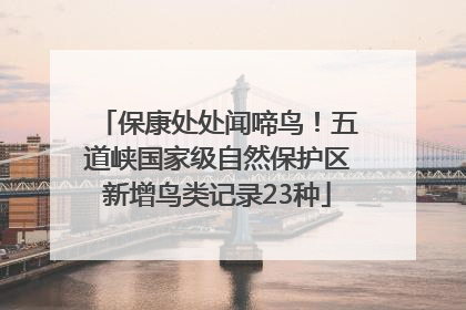 保康处处闻啼鸟！五道峡国家级自然保护区新增鸟类记录23种