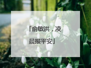 俞敏洪，凌晨报平安