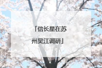 信长星在苏州吴江调研