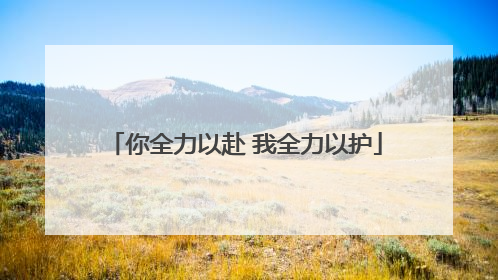 你全力以赴 我全力以护