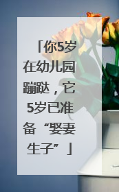 你5岁在幼儿园蹦跶，它5岁已准备“娶妻生子”