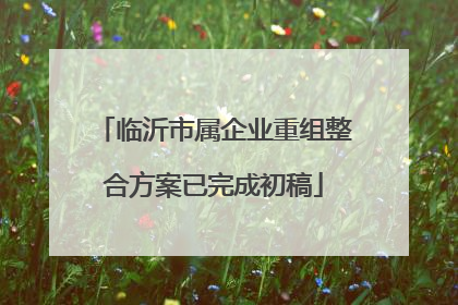 临沂市属企业重组整合方案已完成初稿