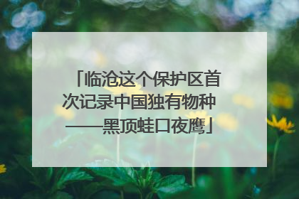 临沧这个保护区首次记录中国独有物种——黑顶蛙口夜鹰