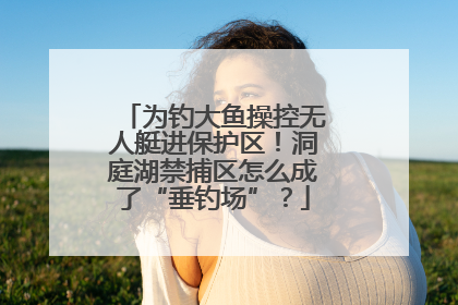 为钓大鱼操控无人艇进保护区！洞庭湖禁捕区怎么成了“垂钓场”？
