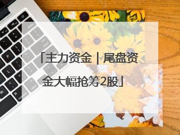 主力资金｜尾盘资金大幅抢筹2股