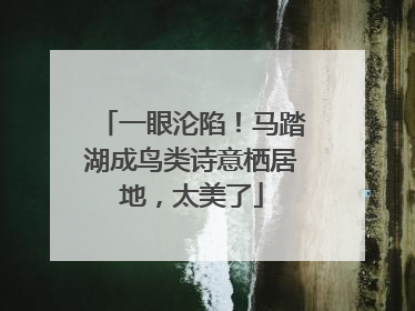 一眼沦陷！马踏湖成鸟类诗意栖居地，太美了