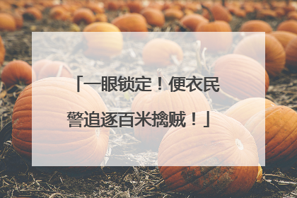 一眼锁定！便衣民警追逐百米擒贼！