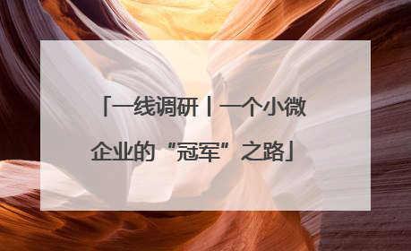 一线调研丨一个小微企业的“冠军”之路