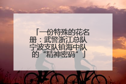 一份特殊的花名册：武警浙江总队宁波支队镇海中队的“精神密码”