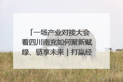 一场产业对接大会 看四川南充如何聚新赋绿、链享未来｜打赢经济发展翻身仗