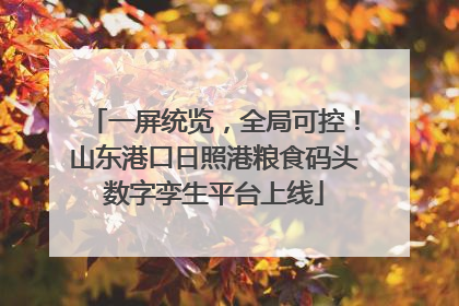 一屏统览，全局可控！山东港口日照港粮食码头数字孪生平台上线