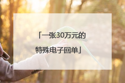 一张30万元的特殊电子回单